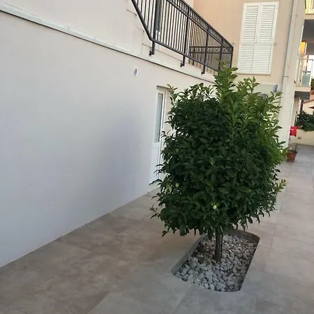 Alfa 3*